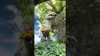 Full train ride in Adventureland Amusement Park
