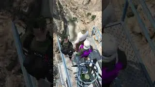Кубик и  летающий ковбой Хаггис/Kubik and a flying cowboy Haggis#shorts#youtubeshorts #funny#gta5rp