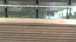 Skateboarder