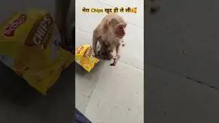मेरा Chips खुद ही ले ली || Iski to maje maje || #shorts #money