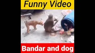 funny entertainment part 2
