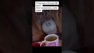 Жиза?)