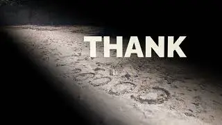 Thank You for 20,000 Followers on Twitter!!!