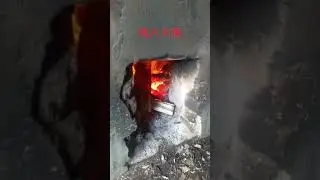 Ну куда ты блин! #приколы #жаба