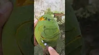 Feel~ViewRgasm❤ Oddly Satisfying Video 