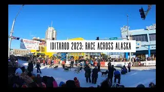 IDITAROD 2023//ANCHORAGE ALASKA