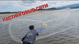 БРАКОНЬЕР? Трудности рыбалки на кастинговую сеть. море или река? #fishing #рыбалка