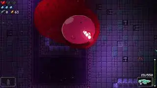 Enter the Gungeon Прошлое пилота, радужный забег