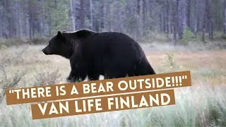 WILD Finland!! INCREDIBLE encounters - VAN LIFE Finland episode 1