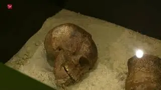 Schokland is 25 jaar Werelderfgoed - Nieuwe natuur