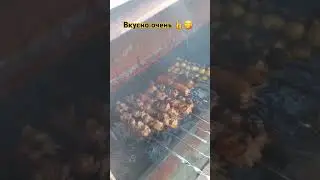 Шашлык осенью первый и очень вкусный 👍#шашлык #еда #shorts