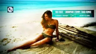 Sub Focus ft Alex Clare - Endorphins (Tommy Trash Remix)