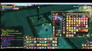 Lineage II выпал баюм Диковинная Шкатулка(подземелье) 10 шт