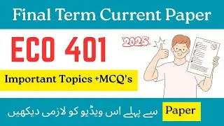Eco 401 Final term current paper 2025 |Eco 401 final term current paper 