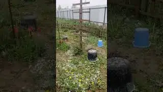 Снег в начале мая