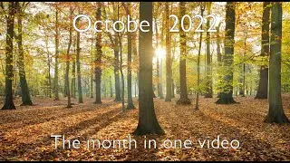 80 minutes of epic relaxation music - October 2022 - Mind Drifter - Reupload