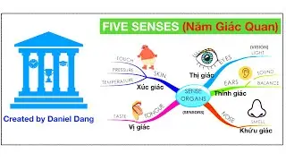 Song Collection: Five Senses. Năm Giác Quan.