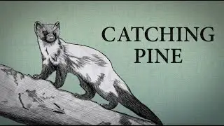 Catching Pine