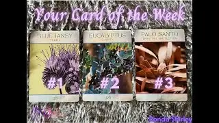Card Reveal! Discover Your Chakra Healing Message with the Chakra Oils Oracle Deck