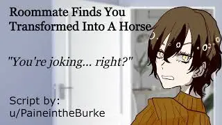 [F4A] Roommate Finds You Transformed Into A Horse [Loud] [Tsundere] [Comedy] [Magic] [Audio RP]