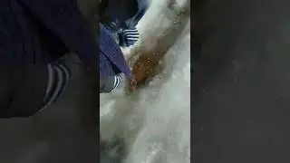 Снега растаянного журчание