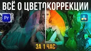 Как придать АТМОСФЕРУ видео на монтаже / ПРИЁМЫ ЦВЕТОКОРРЕКЦИИ / Premiere Pro / Davinci Resolve