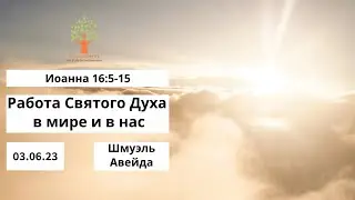 Работа Духа Святого в мире и в нас - 03.06.2023