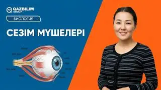 ҰБТ-ға дайындық. Биология. Сезім мүшелері - анализаторлар.