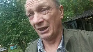 Как  с  мёдом  и  расплодом  на  конец  августа ?