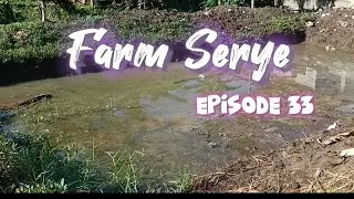 Farm Serye Episode 33  #becomingfarmer #buhayprobinsya #mylittlefarm #buhaybukid