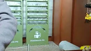 мы в тире