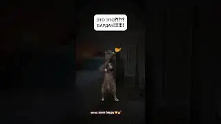 бардак: 
