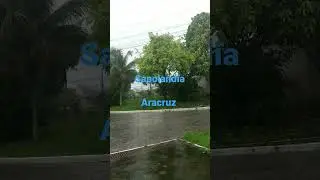 @sapolandiaaracruz de 2022