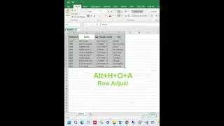 Excel Tricks | Auto Adjust Columns & Rows | Automatically Create Table with Borders