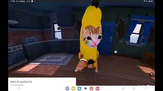Весёлый банановый кот дошёл до google карт!