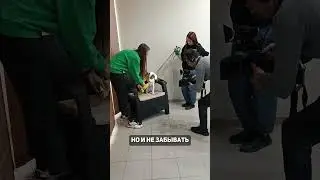 #зоомагазин #одеждадлясобак