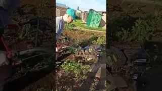 Тяпкой картошку больше не окучиваем, только мотоблоком... Огород в деревне