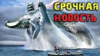 ОЧЕНЬ зря они туда полезли. ТАКОГО исхода никто не ожидал увидеть. Тайны темной бездны.