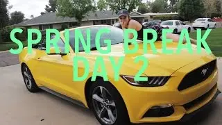Spring Break Day 2
