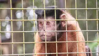 Passeio no Zoo parque SP