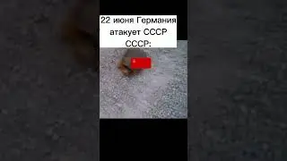 Германия нападает на СССР  ( мем )