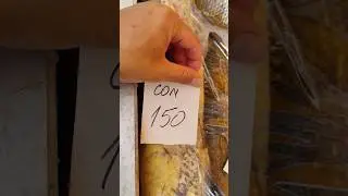 ціна риби в Києві