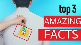 top 3 amazing facts|top amazing Facts and knowledge|27 January 2023 #viral #video #viralvideo #2023