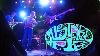 Live Music - Custard Pie - Long Time Gone (Part II)