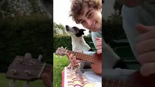 Mi perro canta