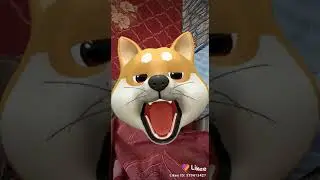 ШТОТО подобное в лайк