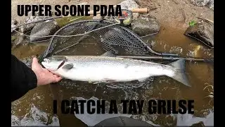 The River Tay - Upper Scone PDAA 3rd July 2023