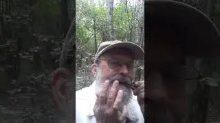 "Степь да степь кругом" на басовом варгане Ингода