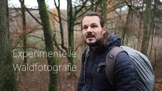 Waldfotografie- Experimentelle Waldfotografie