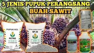 5 JENIS PUPUK PERANGSANG BUAH SAWIT